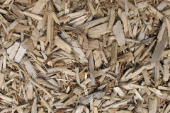 biomass boilers Foscot